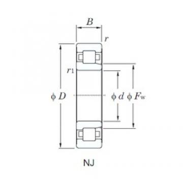 NSK J30-16C3 cylindrical roller bearings
